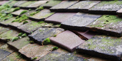 Capel Gwynfe roof repair costs